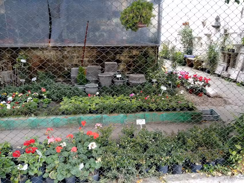 33 Flores &ndash; Flores & Gifts