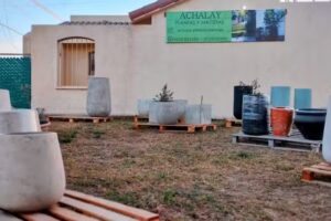 Achalay.plantas.macetas