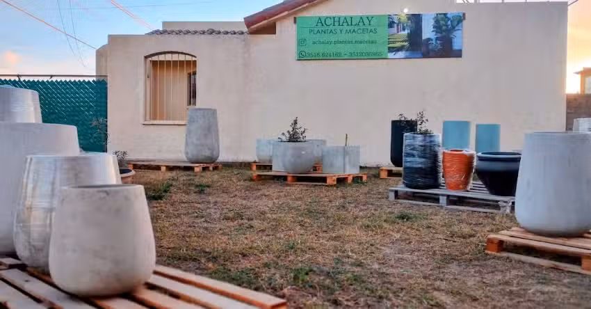 Achalay.plantas.macetas