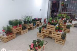 Akitsu Shima Florería