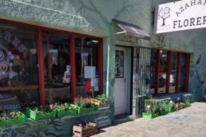 Azahares boutique floral