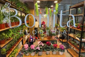 Bonita Florer&iacute;a