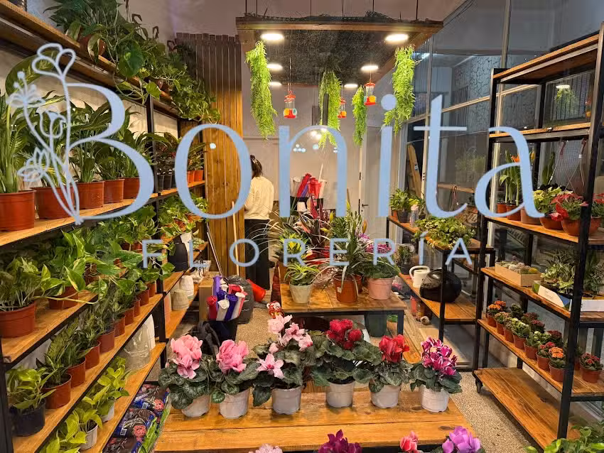 Bonita Florer&iacute;a