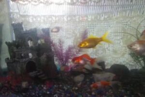 CASA D&rsquo; AMBROSIO