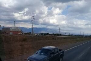 Daniel Salomon Flores