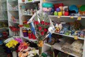 Distribuidora San Justo