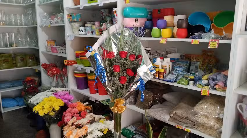 Distribuidora San Justo