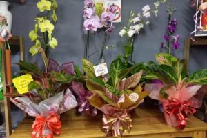 El bunker de las flores