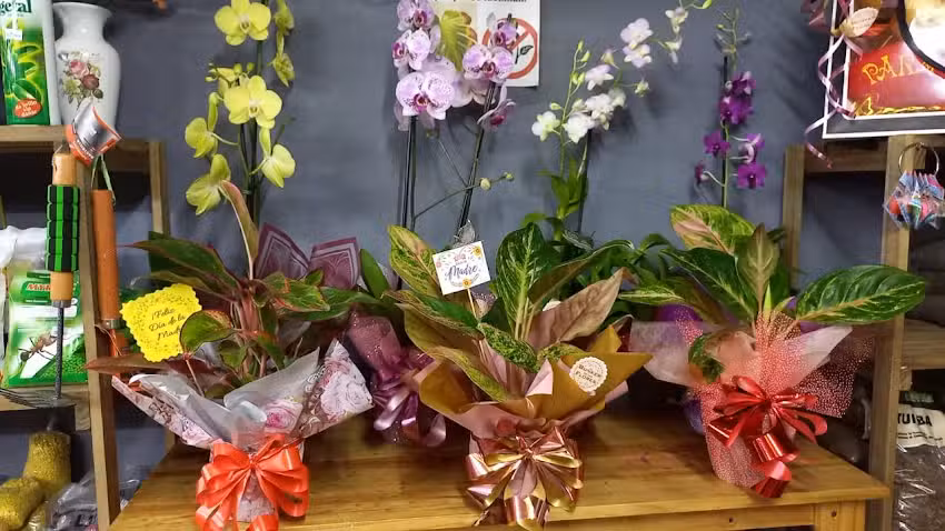 El bunker de las flores