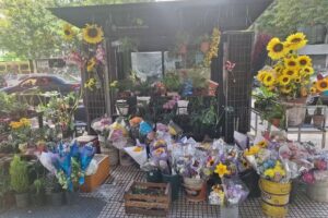 El Girasol de Corrientes &ndash; Kiosco