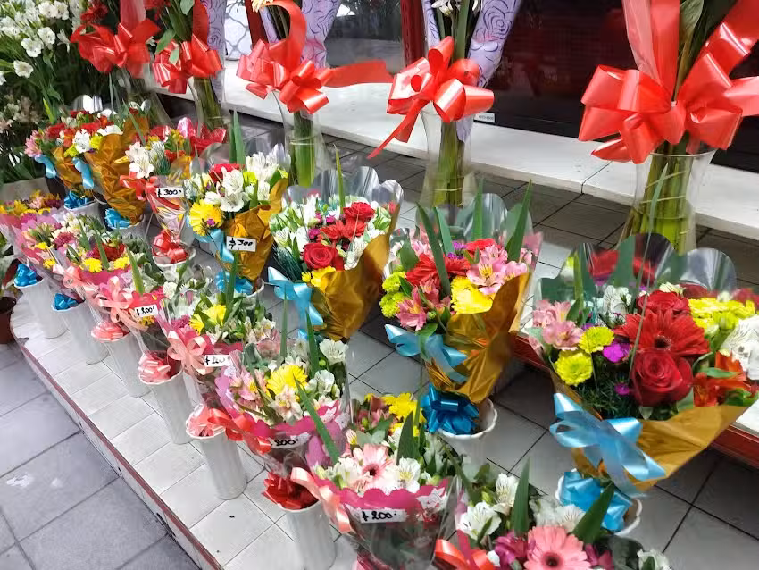 El Jard&iacute;n de Flores