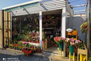 el jardín – Flores y Plantas