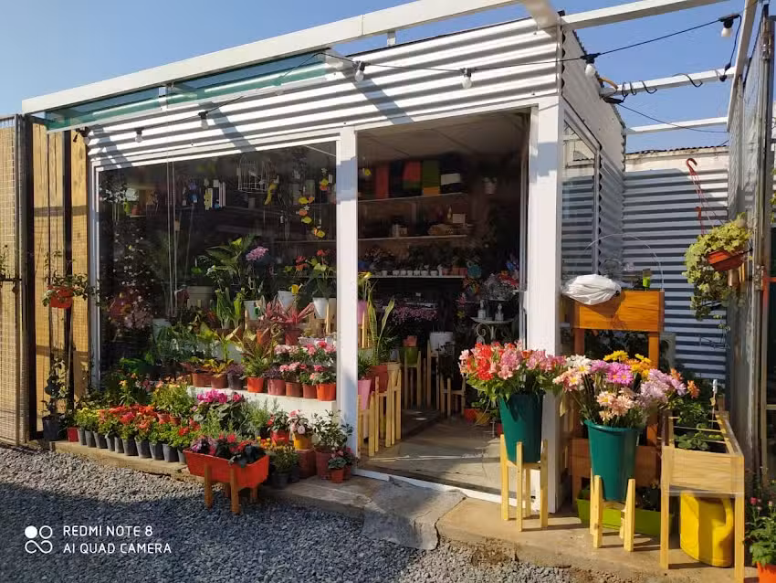 el jard&iacute;n &ndash; Flores y Plantas
