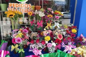 El Mundo de Las Flores