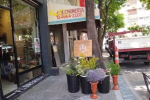 Estaci&oacute;n de Flores