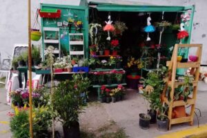 Fiorella y anibal, floreria