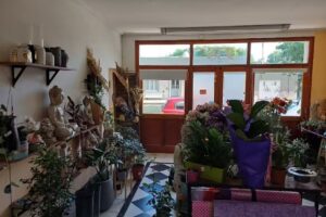 Flor de reina floreria