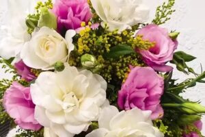 FLORA &ndash; VIVERO BOUTIQUE