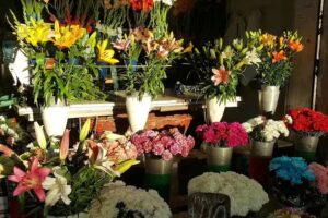 Florer&iacute;a &ldquo;Alejandro&rdquo;