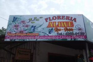 Floreria Aliwe-Crematorio Burzaco