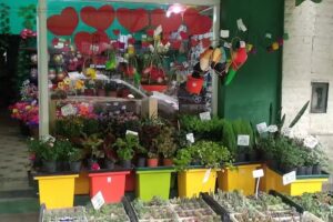 Florería Altamirano