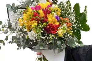 Florer&iacute;a alvarez