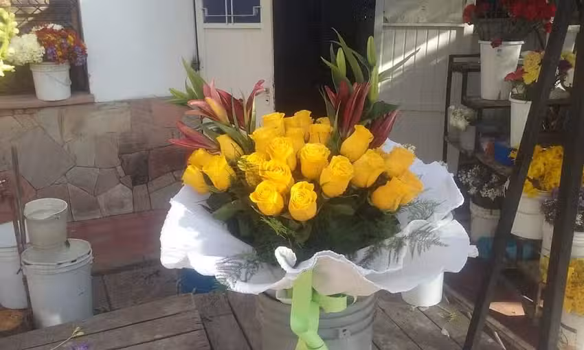 Florer&iacute;a Amico