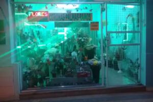 Florer&iacute;a Amor