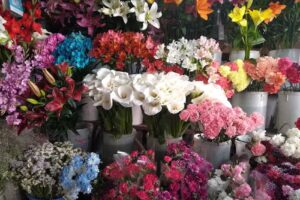 Florer&iacute;a Ariel