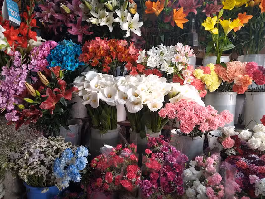 Florer&iacute;a Ariel