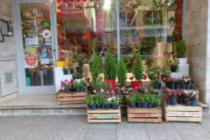 Florer&iacute;a Betty Lou