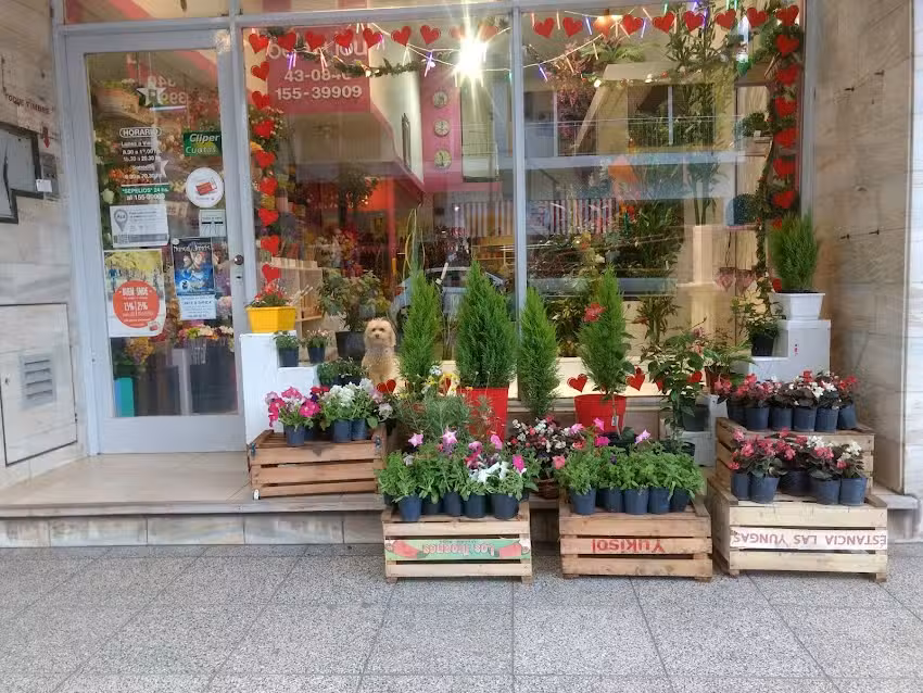 Florer&iacute;a Betty Lou