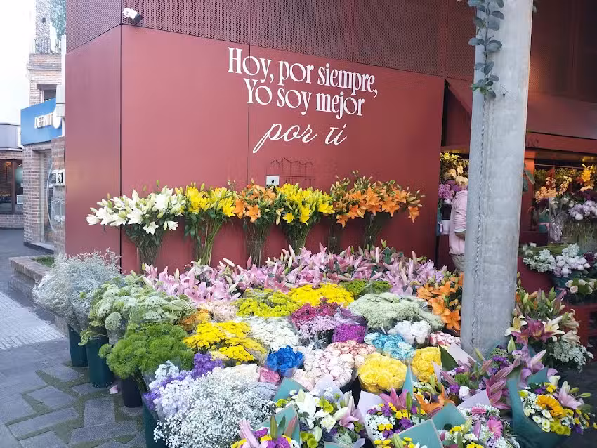 Florer&iacute;a Betular