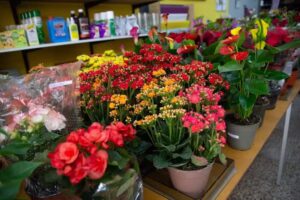 Floreria Carlos Larghi