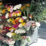 Florer&iacute;a Claudio