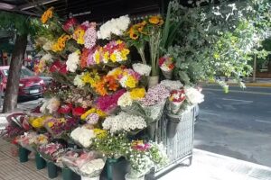 Florer&iacute;a Claudio