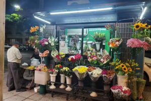 Florer&iacute;a de mam&aacute; de franc