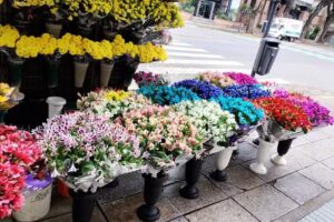 Florer&iacute;a del Valerio