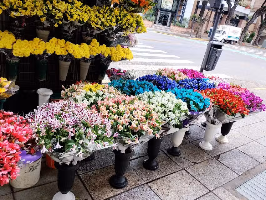 Florer&iacute;a del Valerio