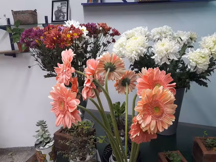 Floreria Dell Immagine