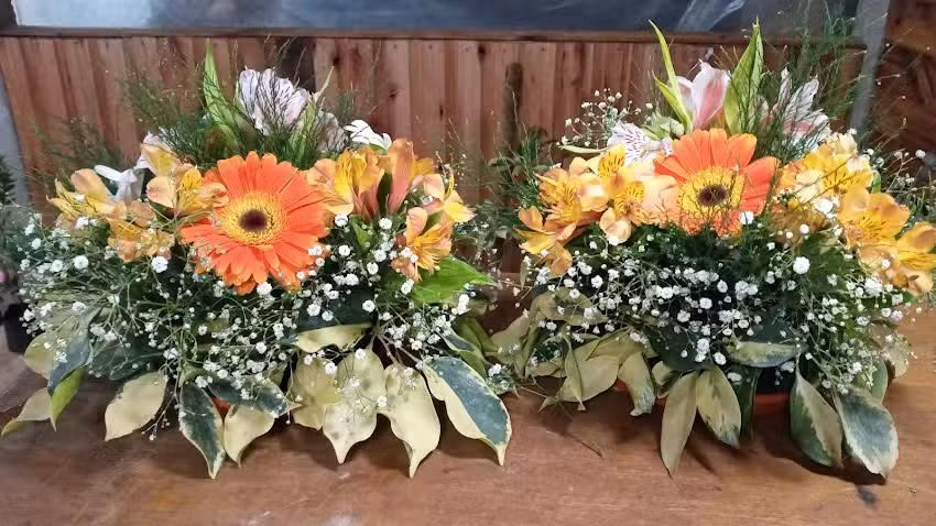 Florer&iacute;a Dulce Magnolia