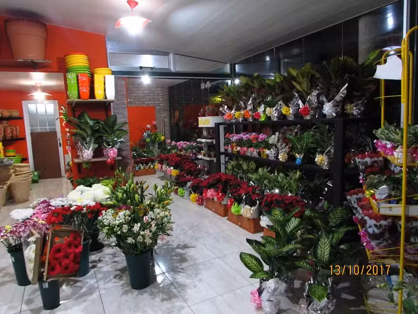 Florer&iacute;a Edelweis