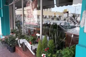 Floreria el Jardin y Tu Casa