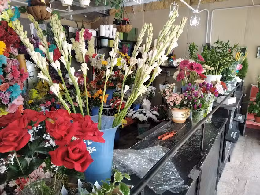 florer&iacute;a El Jazm&iacute;n