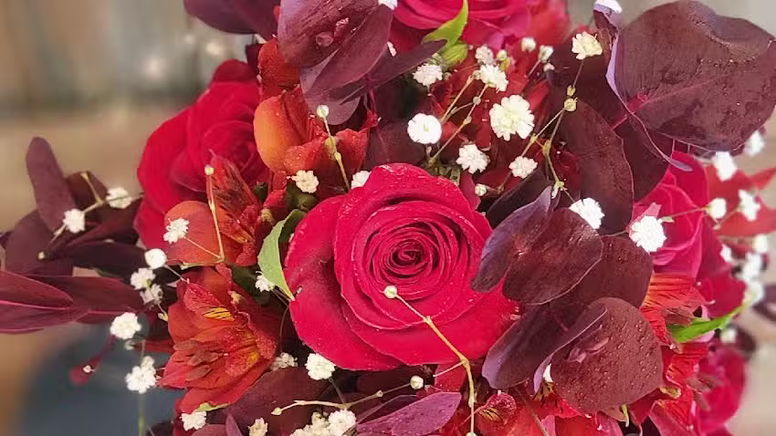 Florer&iacute;a el motivo