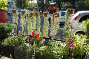 Floreria El rincon de monica