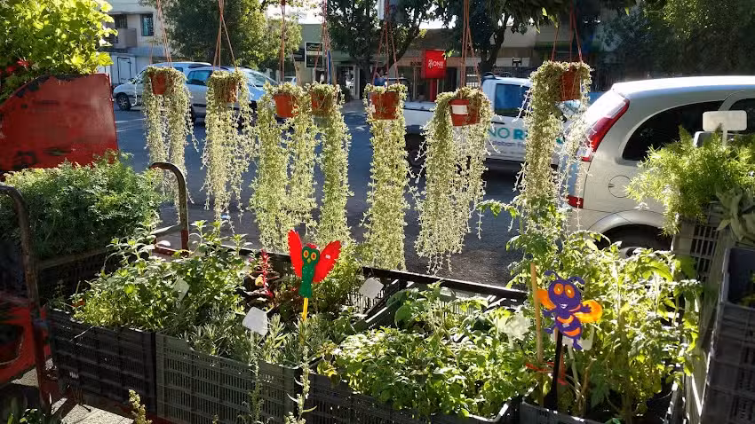 Floreria El rincon de monica