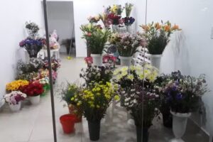 Floreria eminanc guay