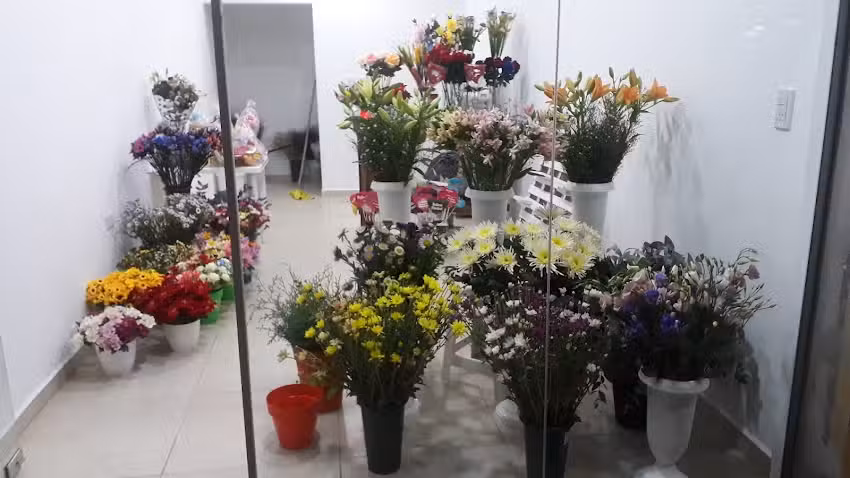 Floreria eminanc guay