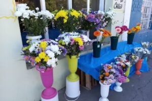 Florer&iacute;a Facundo